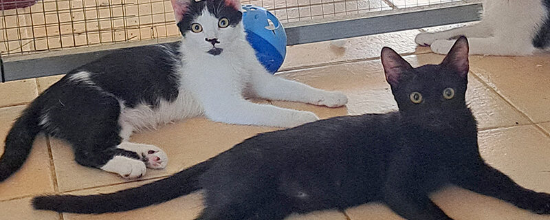 Cache 77138758 800x320